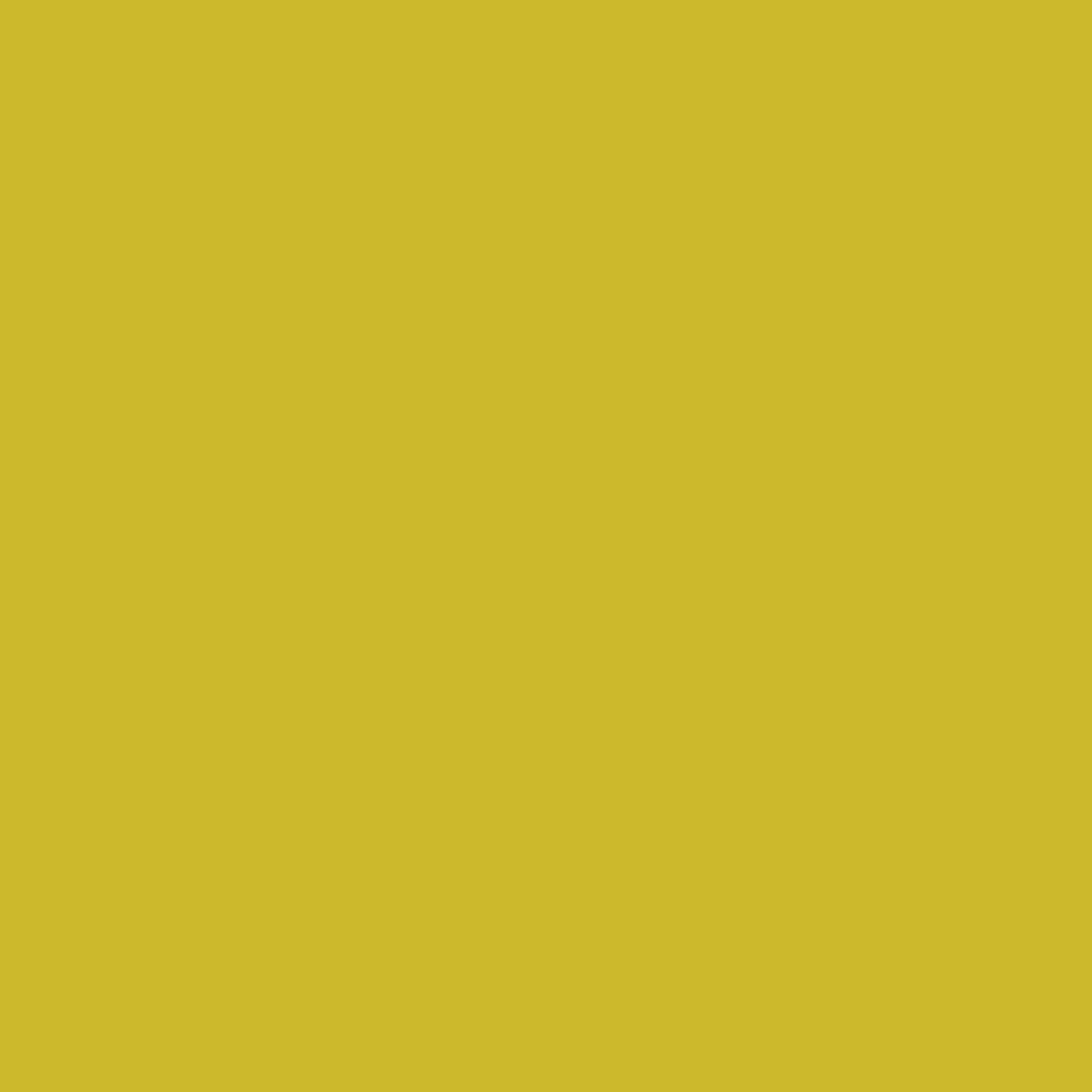52-YL5
